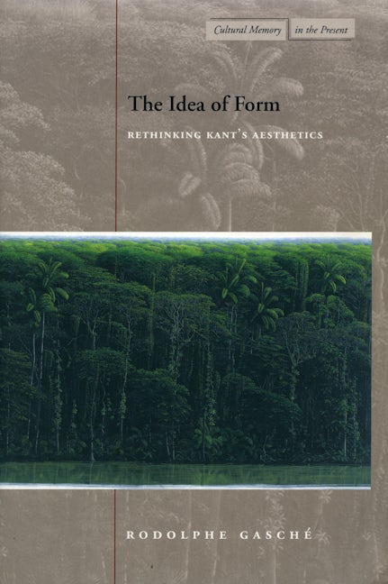 Book cover image for The Idea of Form ISBN: 9780804746137